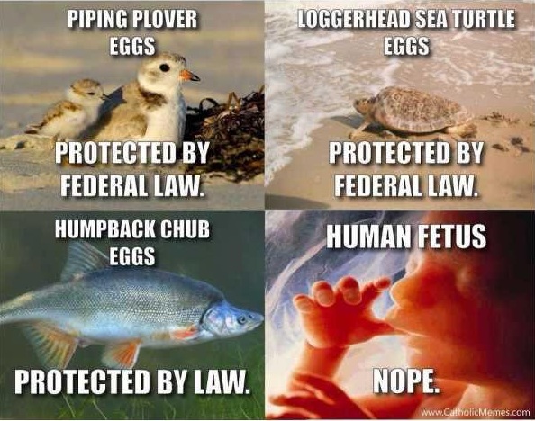 Abortion 2