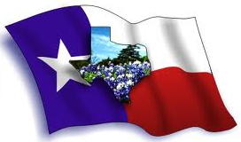 Texas Blue Bonnet 272x160