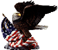Banner Eagle RT