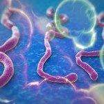 Ebola Virus