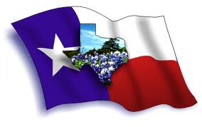 Texas Blue Bonnet 420px