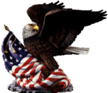 Eagle 1